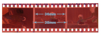 35mm Negative scanning, best pricing, sale pricing, digital conversion, to CD, DVD, Computer, PC, or Mac