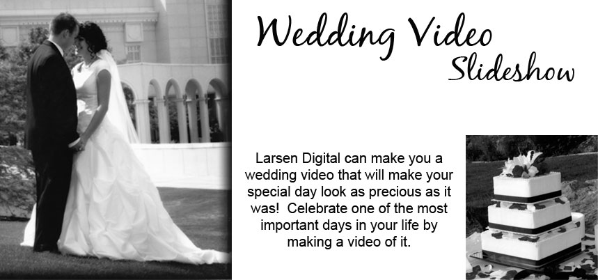 Wedding Video DVD Slideshow | Larsen Digital
